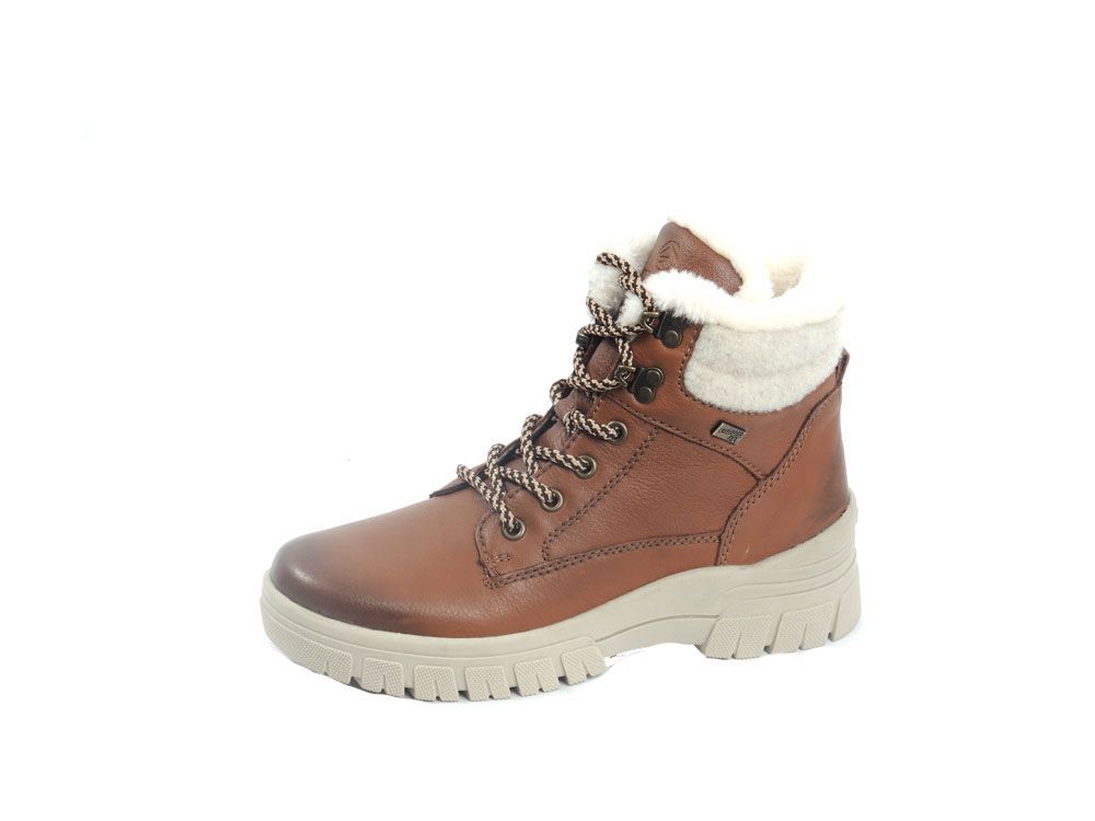 BOTTES D'HIVER - D0E71 24 - Remonte